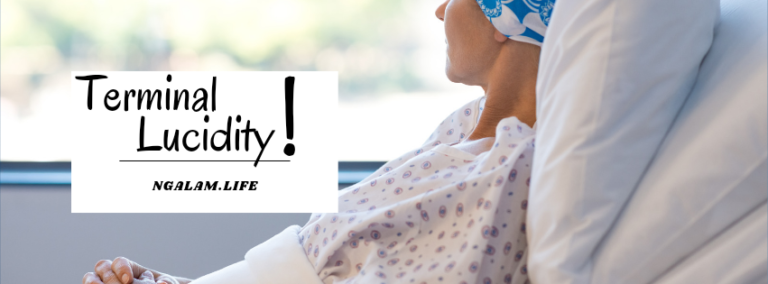 Terminal Lucidity
