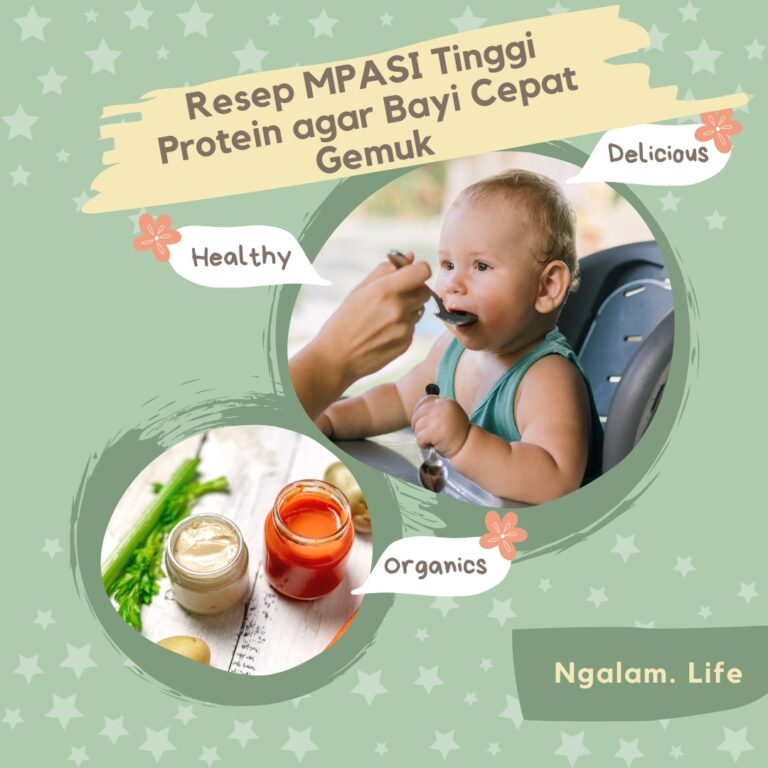 Resep MPASI