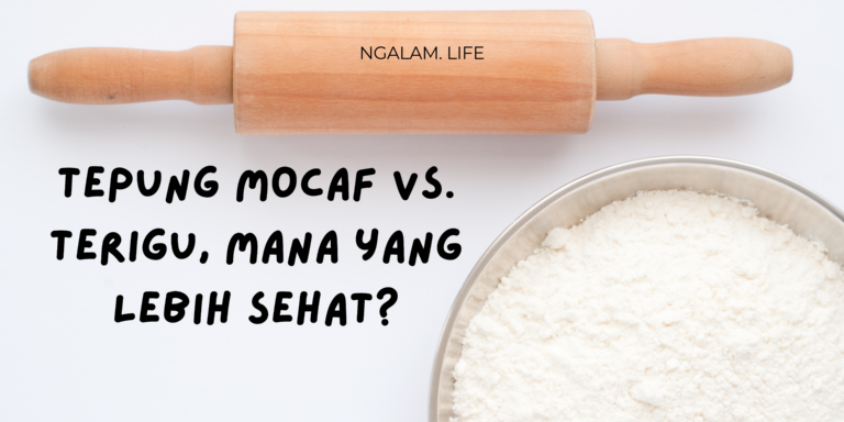 Mocaf vs terigu