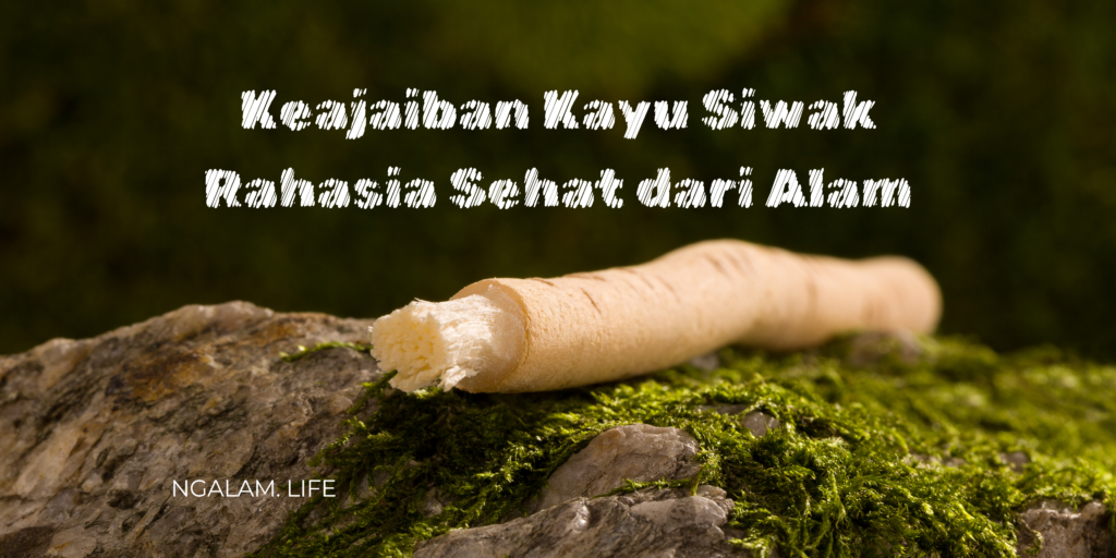 Keajaiban kayu siwak