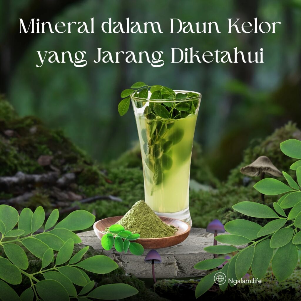 Daun kelor