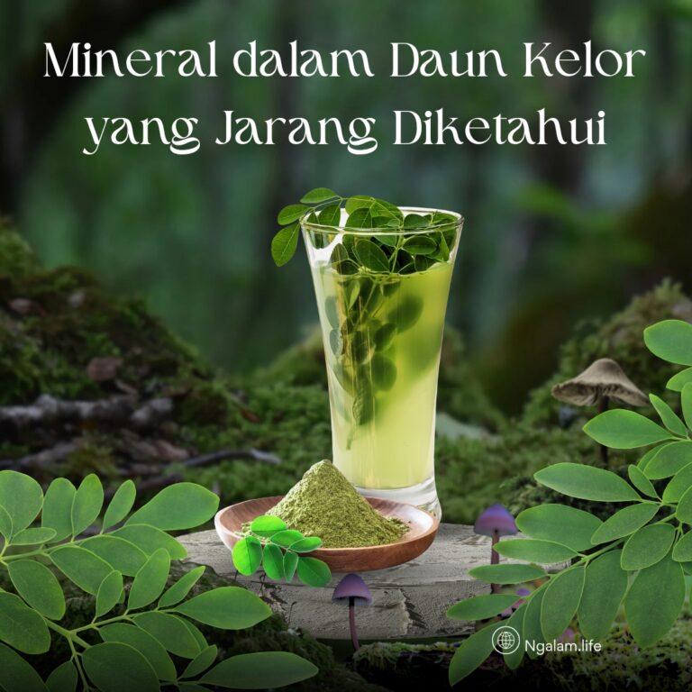 Daun kelor