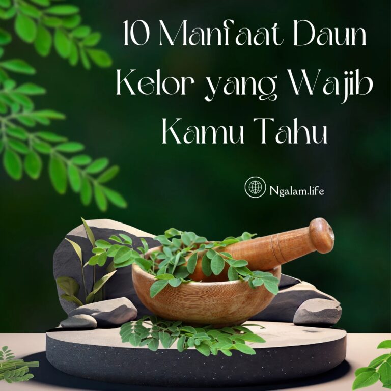 Manfaat daun kelor