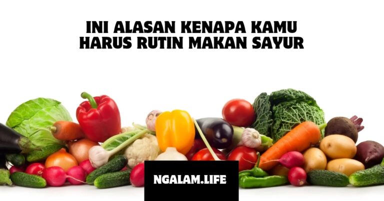 Alasan harus makan sayur