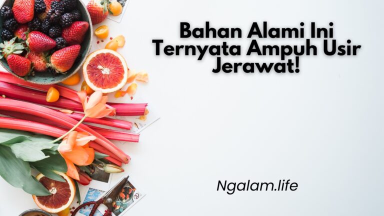 Bahan alami usir jerawat