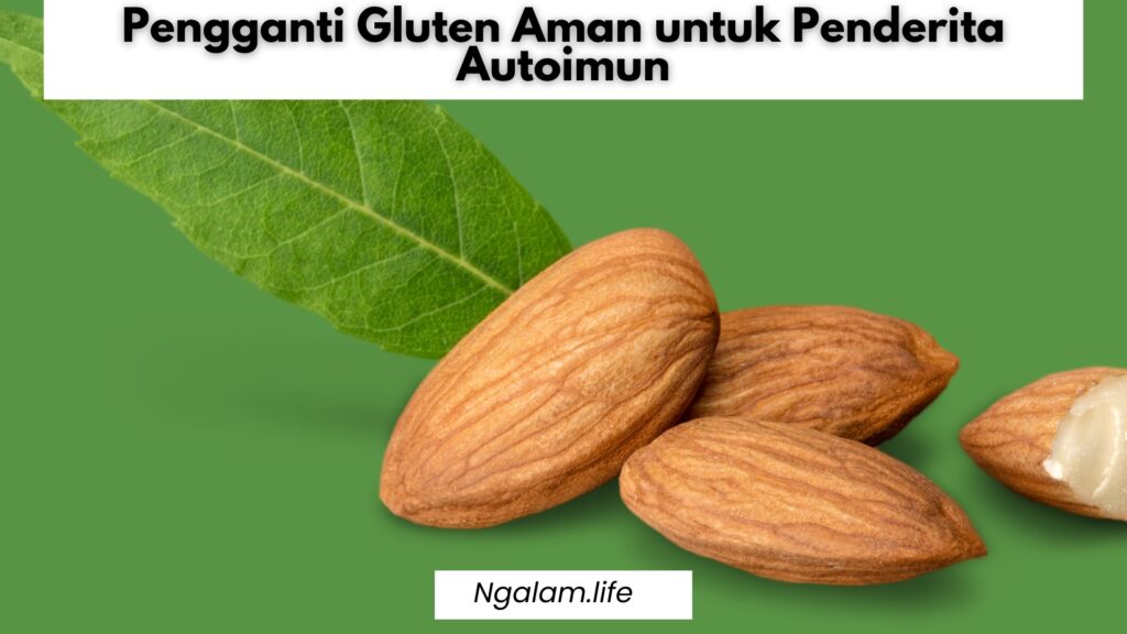 Pengganti gluten untuk autoimun
