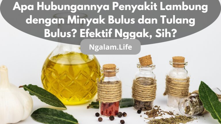 Lambung dan minyak bulus