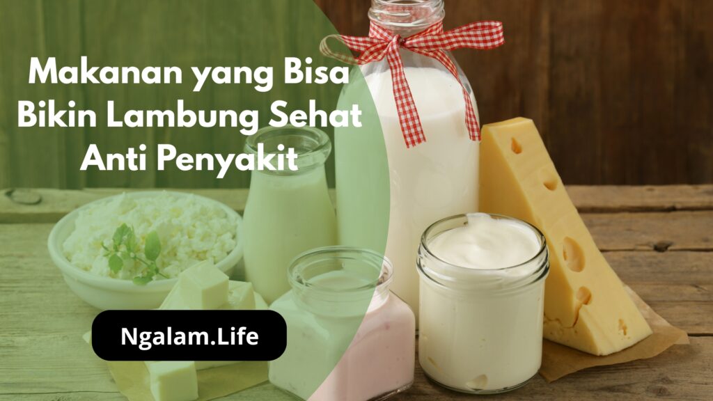 Makanan lambung sehat