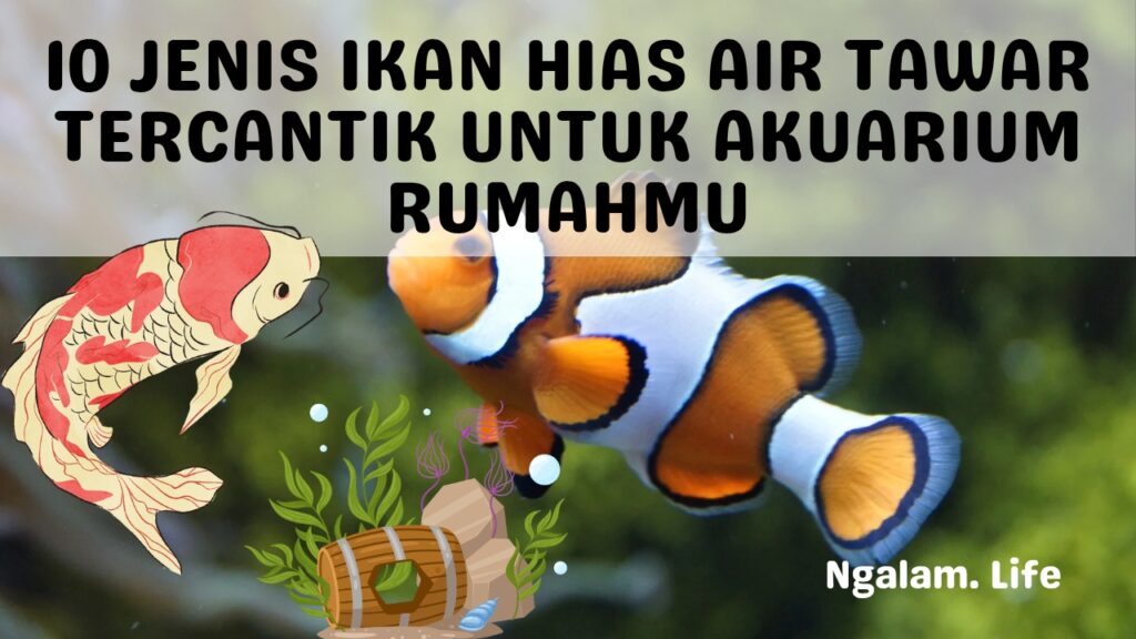 Jenis ikan hias