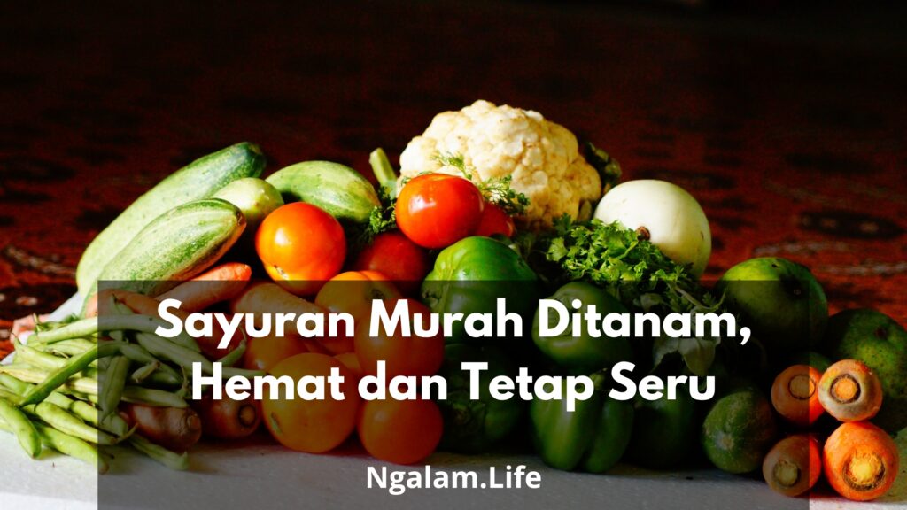 Sayuran Murah Ditanam