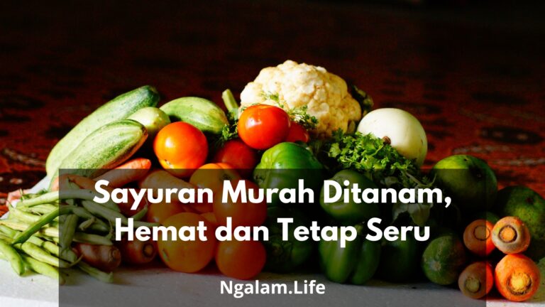 Sayuran Murah Ditanam