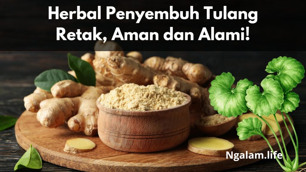 Herbal penyembuh tulang