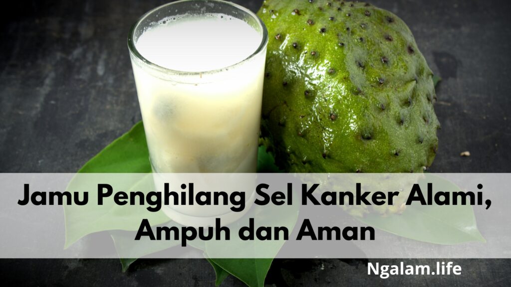 Jamu sel kanker