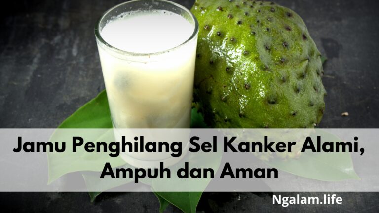 Jamu sel kanker