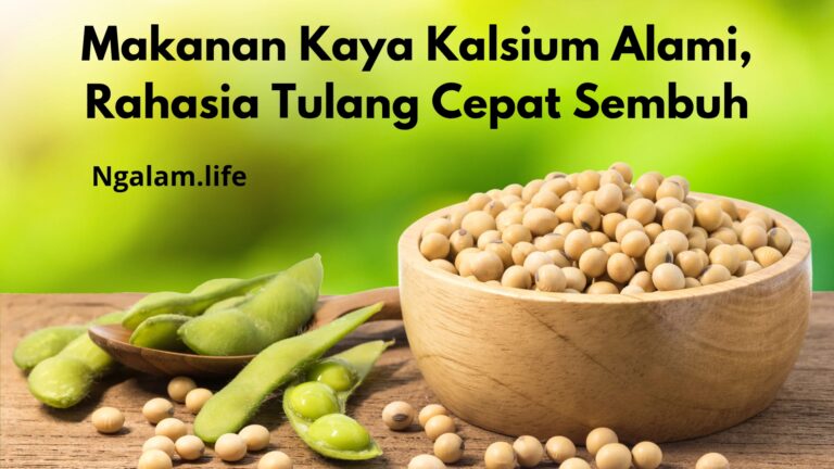 Makanan kalsium untuk tulang