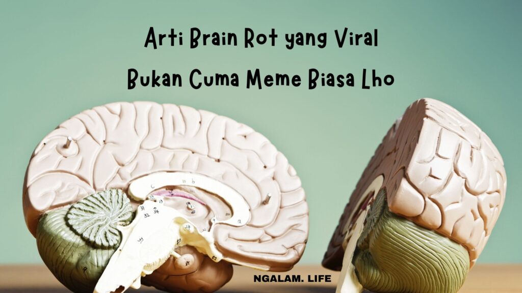 Arti brain rot