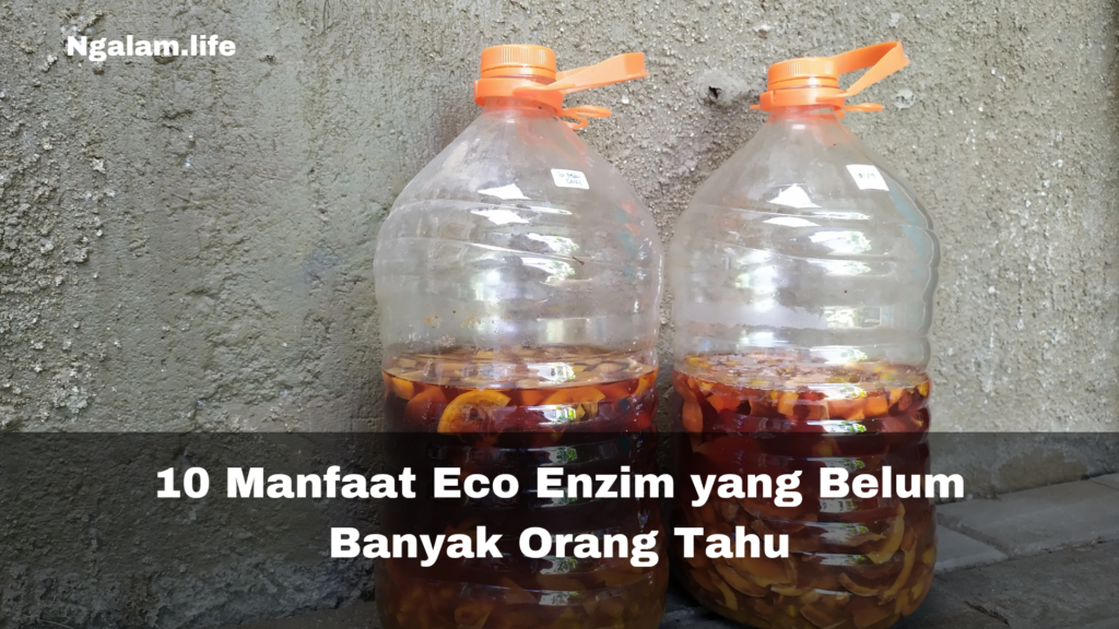 Manfaat eco enzim