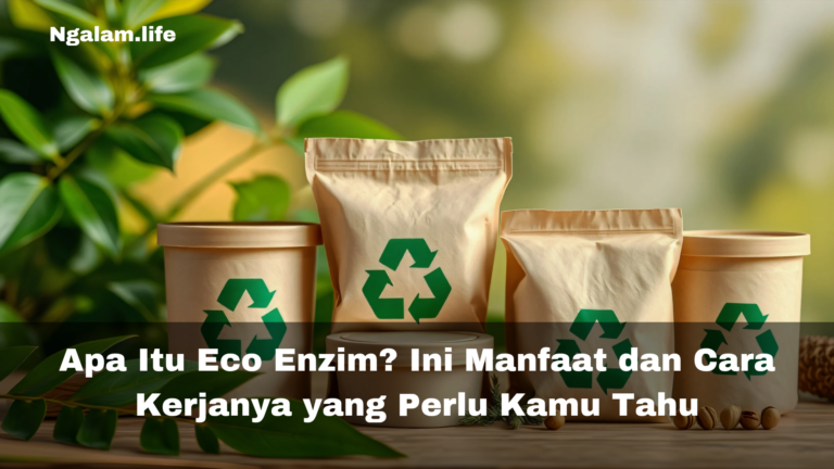 Apa itu eco enzim