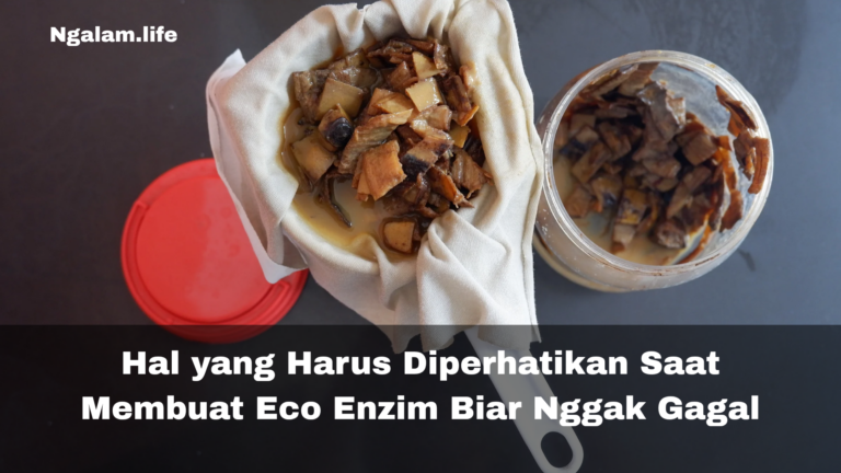 Hal yang Harus Diperhatikan Saat Membuat Eco Enzim Biar Nggak Gagal