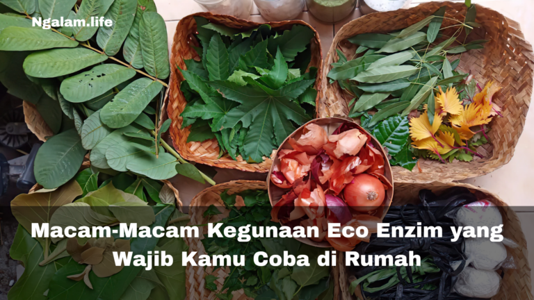 Macam Macam Kegunaan Eco Enzim yang Wajib Kamu Coba di Rumah