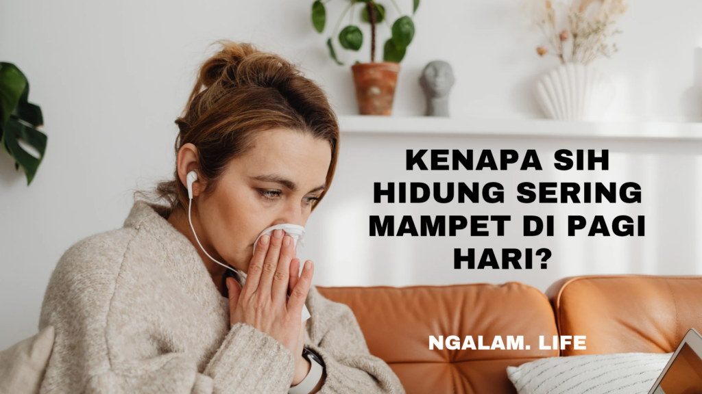 Hidung mampet pagi hari